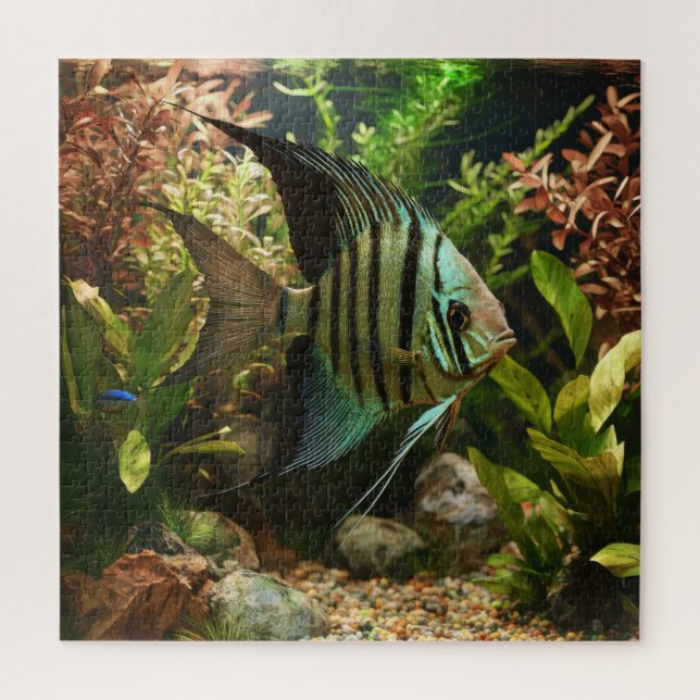 Puzzle Poisson-ange altum rayé (Vertical)