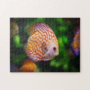 Puzzle Poisson de Discus