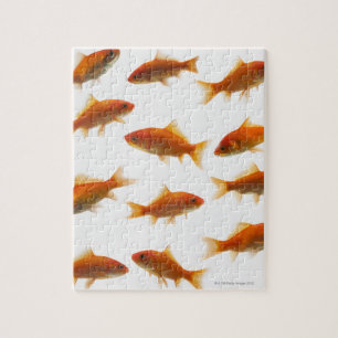 Puzzle Poisson d'or