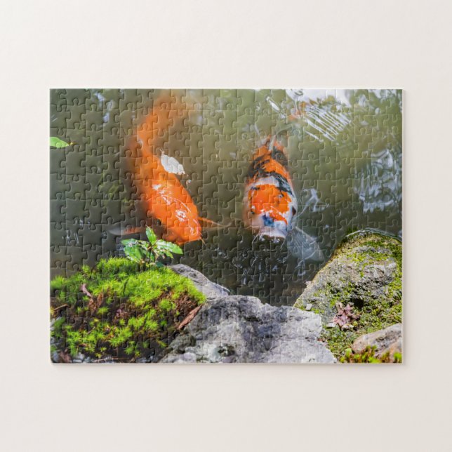 Puzzle Poisson Koi dans un étang (Horizontal)