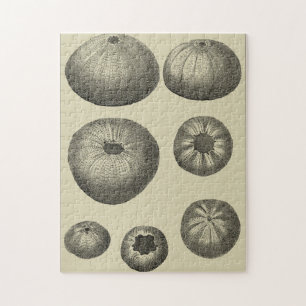 Puzzle Poisson noir et blanc