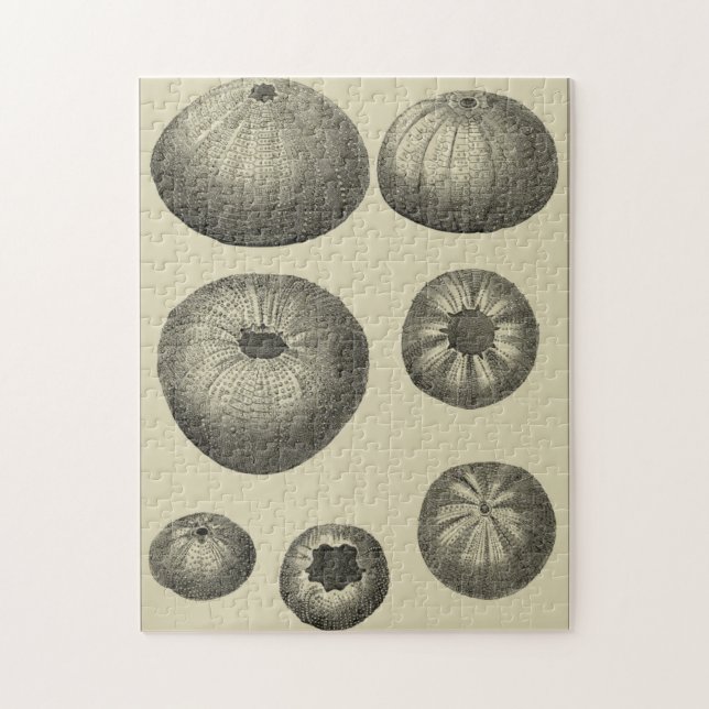 Puzzle Poisson noir et blanc (Vertical)