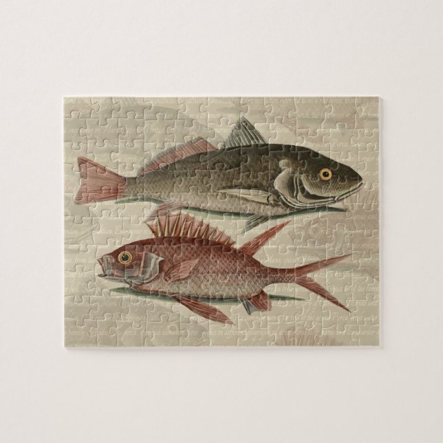 Puzzle Poisson Perche Rouge Pêcheur d'Art (Horizontal)
