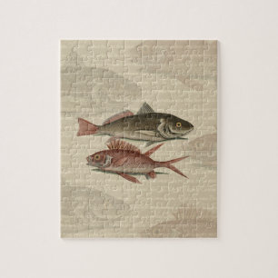 Puzzle Poisson Perche Rouge Pêcheur d'Art