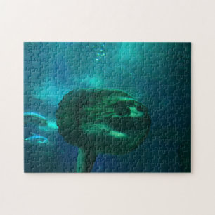 Puzzle Poisson Soleil.