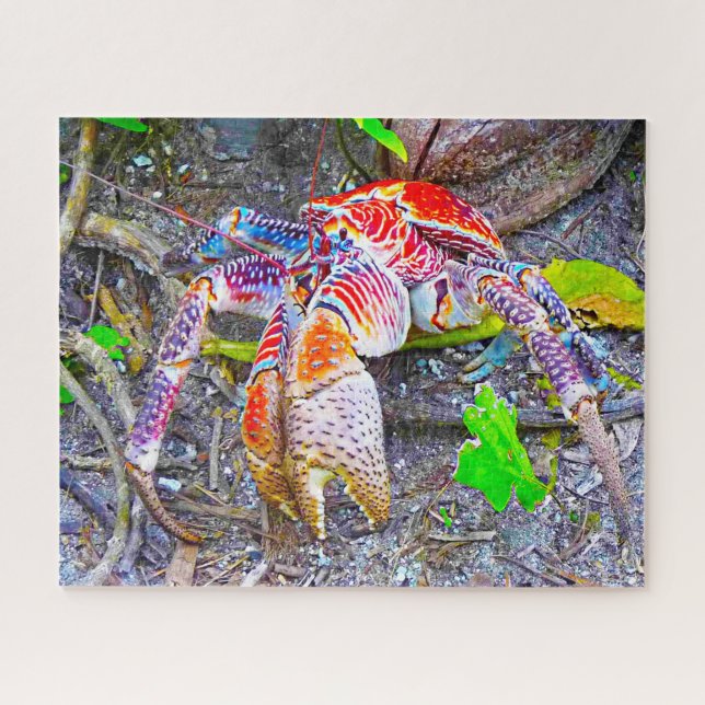 Puzzle Poisson tropical (Horizontal)