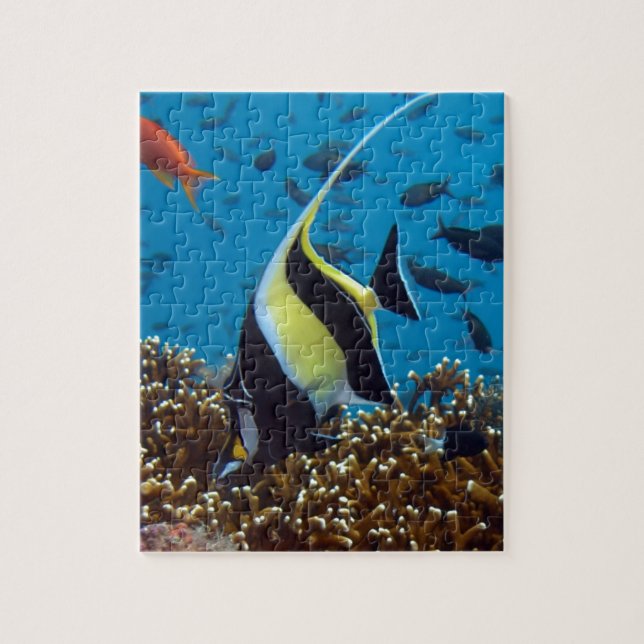 Puzzle Poisson tropical (Vertical)