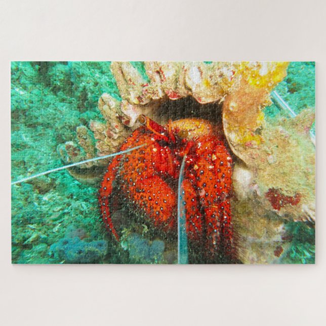 Puzzle Poisson tropical (Horizontal)