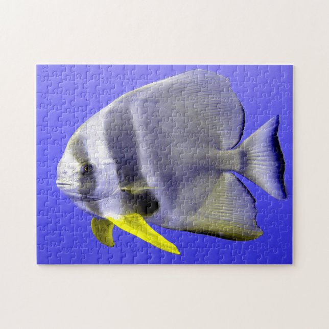 Puzzle Poisson tropical (Horizontal)