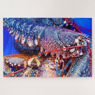Puzzle Poisson tropical