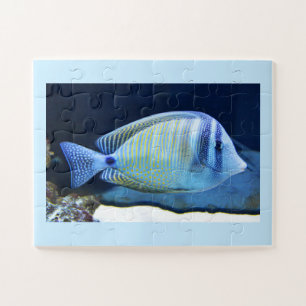 Puzzle Poisson tropical