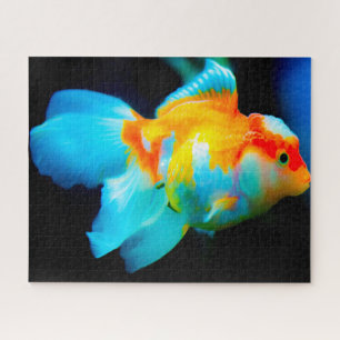 Puzzle Poisson tropical