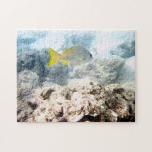 Puzzle Poisson tropical