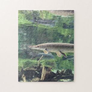 Puzzle Poissons de Pike