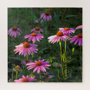 Puzzle Poissons roses
