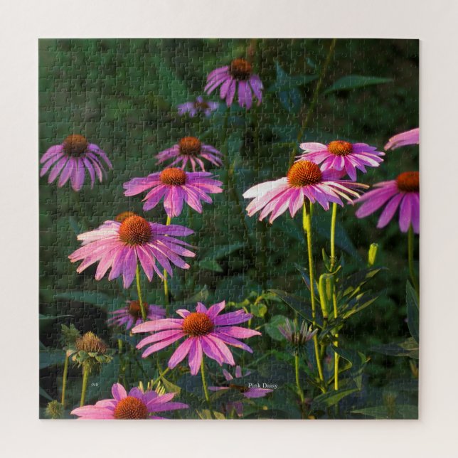 Puzzle Poissons roses (Vertical)