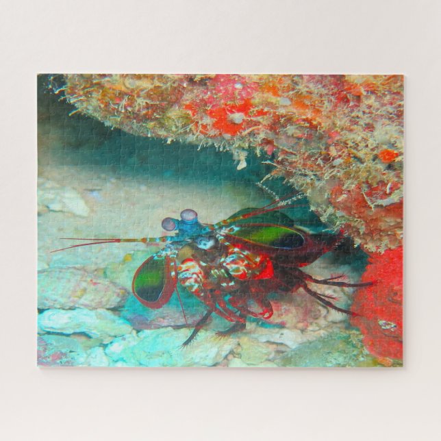 Puzzle Poissons Tropicaux (Horizontal)