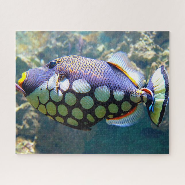 Puzzle Poissons Tropicaux (Horizontal)