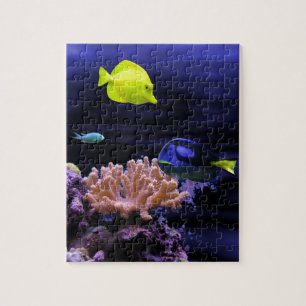 Puzzle Poissons tropicaux colorés