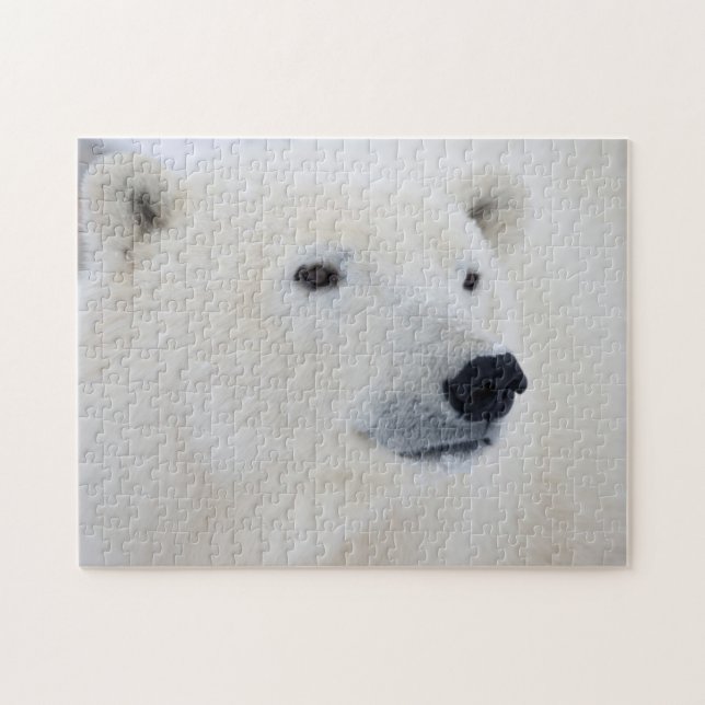 Puzzle Polar Churchill (Horizontal)