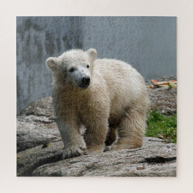 Puzzle Polarbear 002 par JAMFoto (Vertical)