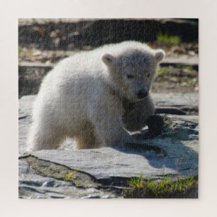 Puzzle Polarbear 004 par JAMFoto