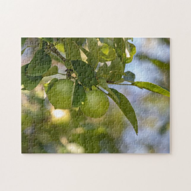 Puzzle Pommes sur la branche (Horizontal)