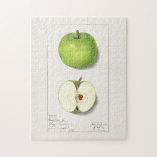 Puzzle Pommes vertes (Malus Domestica) Peinture aux fruit