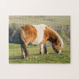 Puzzle Poney De Shetland Sur Le Pâturage Près De Hautes F
