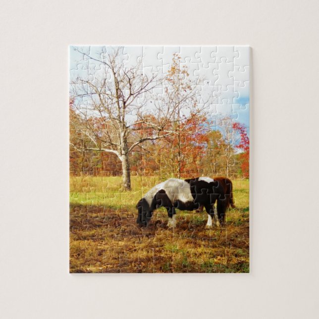 Puzzle Poney miniature noir et blanc / Cheval (Vertical)