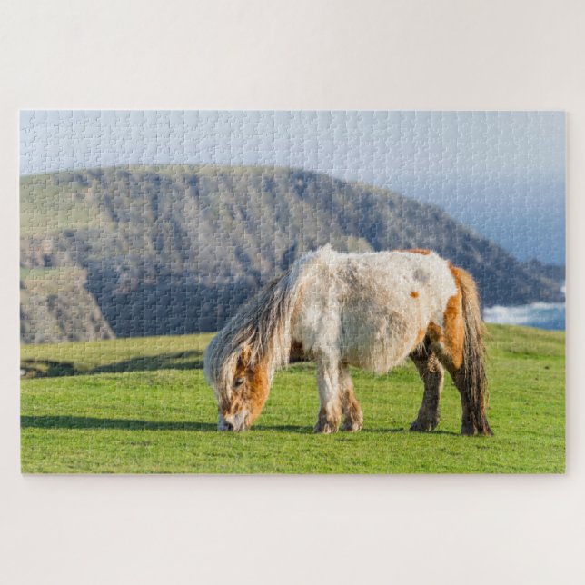 Puzzle Poney Shetland sur le pâturage près de hautes fala (Horizontal)