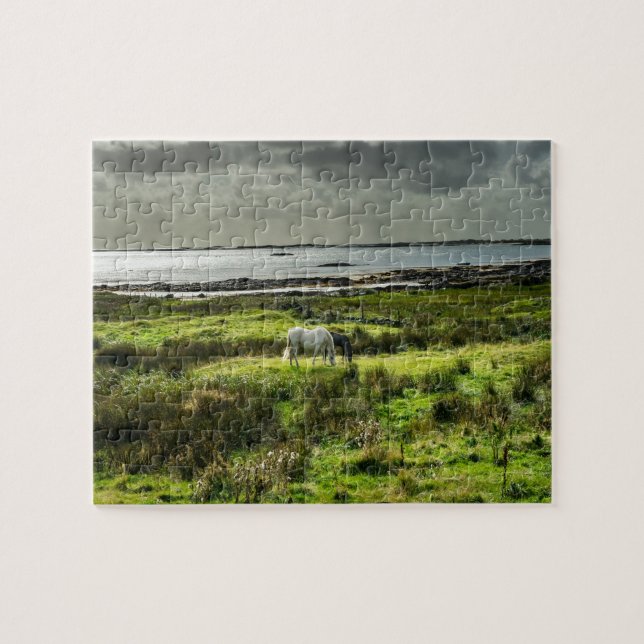 Puzzle poneys de Connemara Galway Irlande. (Horizontal)