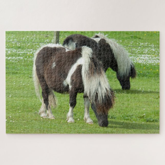 Puzzle Poneys Paint Shetland pur-sang (Horizontal)