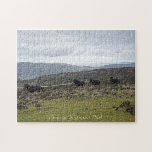 Puzzle Ponies sur Exmoor National Park, Angleterre (Horizontal)