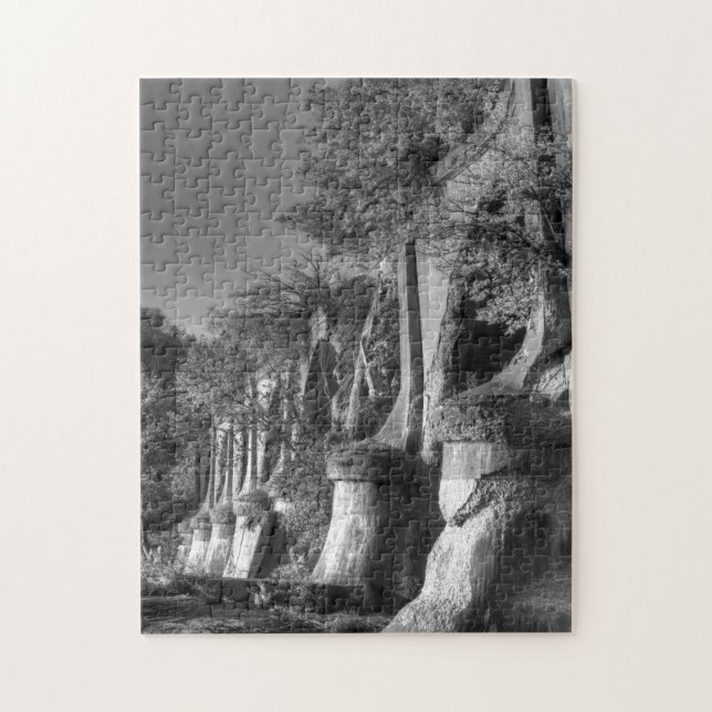 Puzzle Pont interurbain (Vertical)