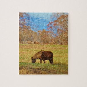 Puzzle Pony miniature Brown