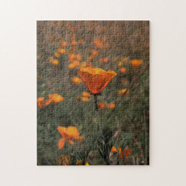 Puzzle Poppy (Vertical)