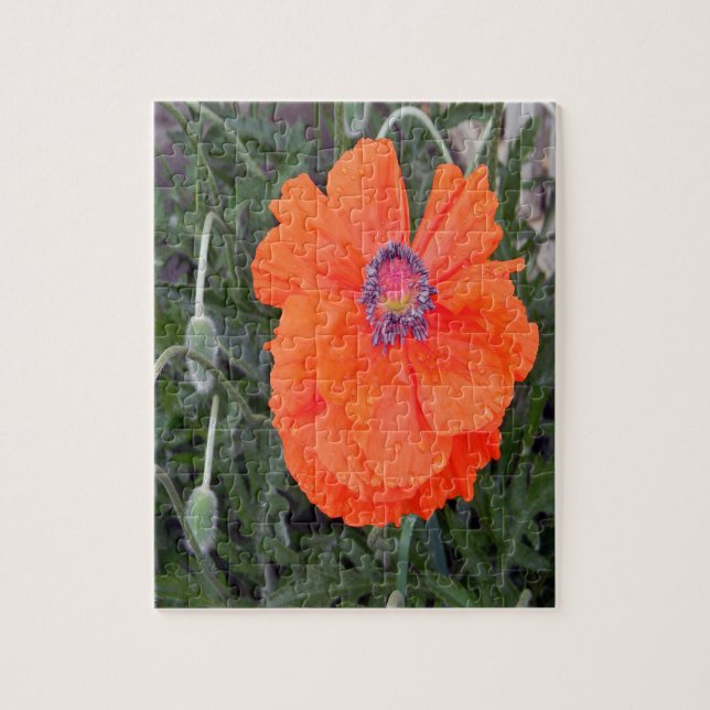 Puzzle Poppy chinois.... (Vertical)