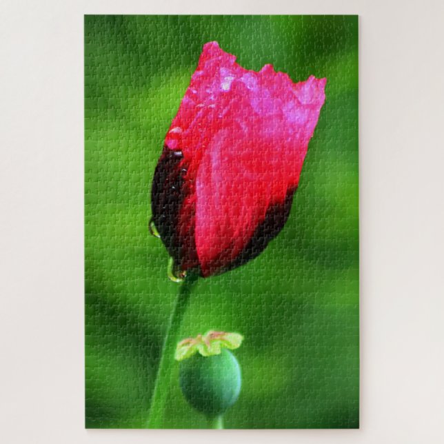 Puzzle Poppy et Raindrops (Vertical)