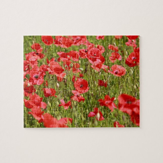 Puzzle Poppy field (Horizontal)
