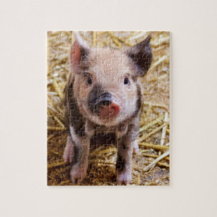 Puzzle Porcelet