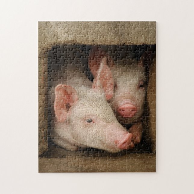 Puzzle Porcelets curieux (Vertical)