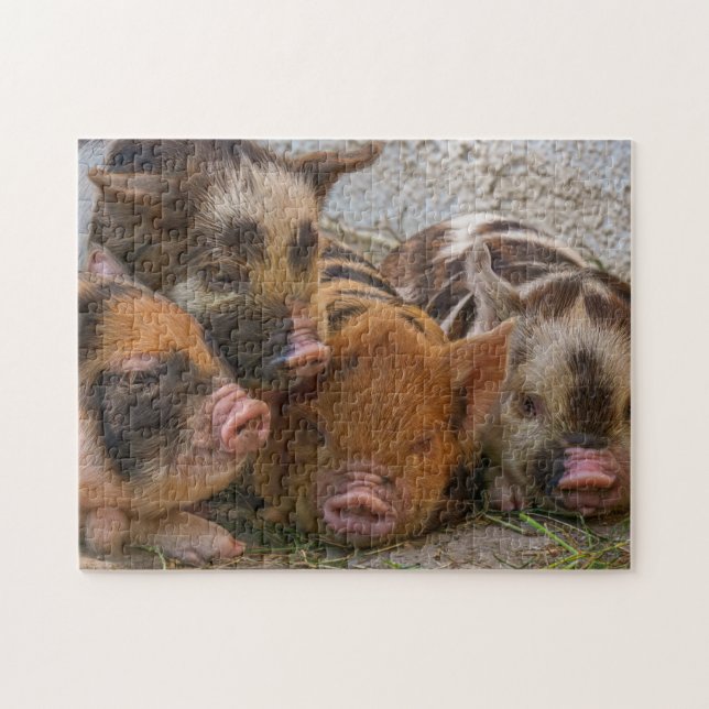 Puzzle Porcelets d'animaux de ferme mignons (Horizontal)