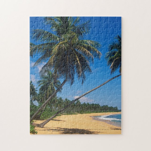 Puzzle Porto Rico, Isla Verde, palmiers (Vertical)