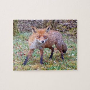 Puzzle Portrait attachant d'un renard roux dans un paysag