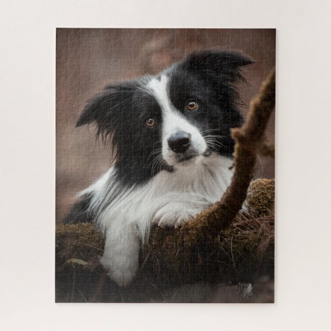 Puzzle Portrait Collie Bordure Étonnant (Vertical)