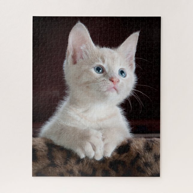 Puzzle Portrait Cute Kitten (Vertical)