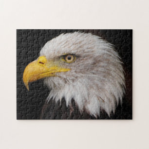 Puzzle Portrait d'aigle