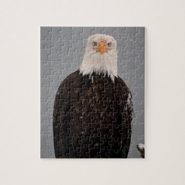 Puzzle Portrait d'aigle royal dans la neige, Haliaeetus (Vertical)