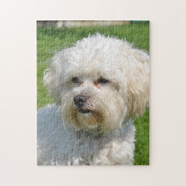 Puzzle Portrait de Bichon Frise (Vertical)
